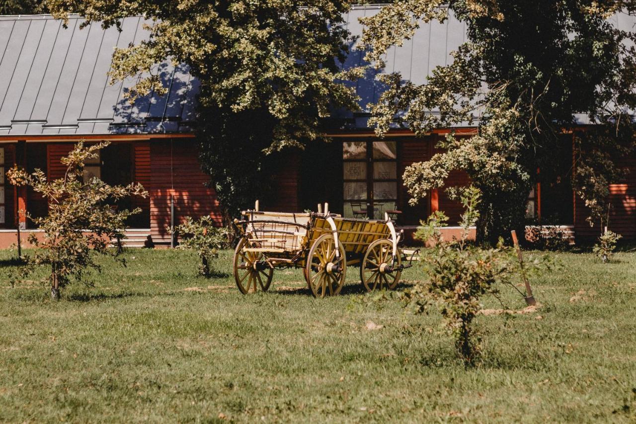 Vukovarska Kuca Hotel Esterno foto